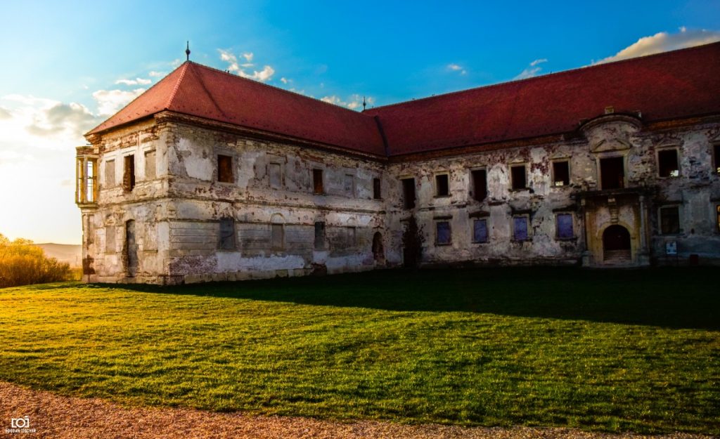 20+ UNIVERSITIES 20+ UNIVERSITIES